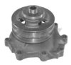 FORD FAPN8A513AA Water Pump
